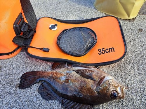 三陸海岸（宮城）