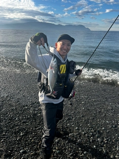 ソウダガツオの釣果