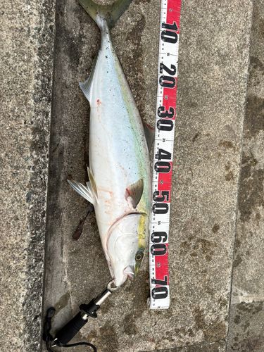 神戸空港親水護岸