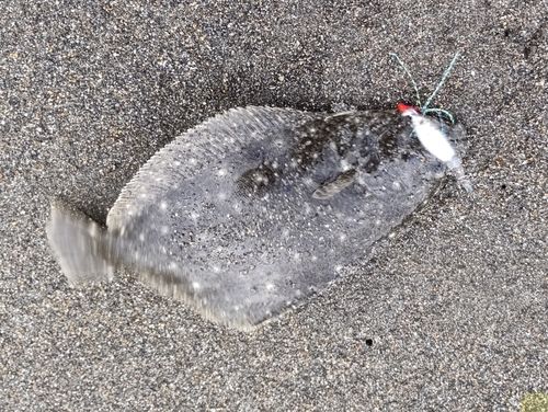 辻堂海浜公園前