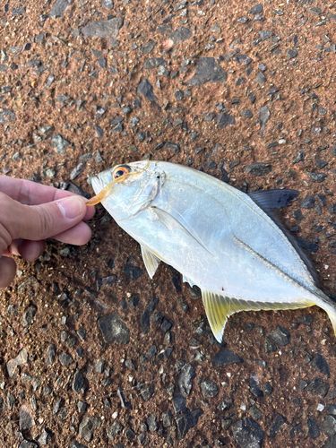 福間漁港海浜公園