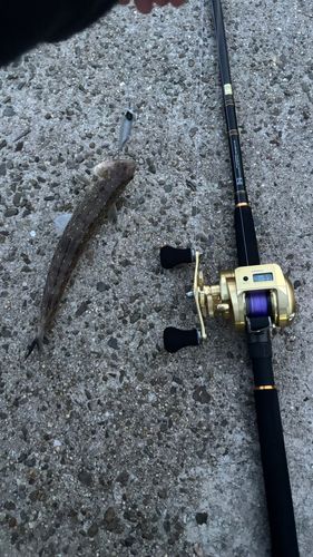 瀬戸大橋記念公園