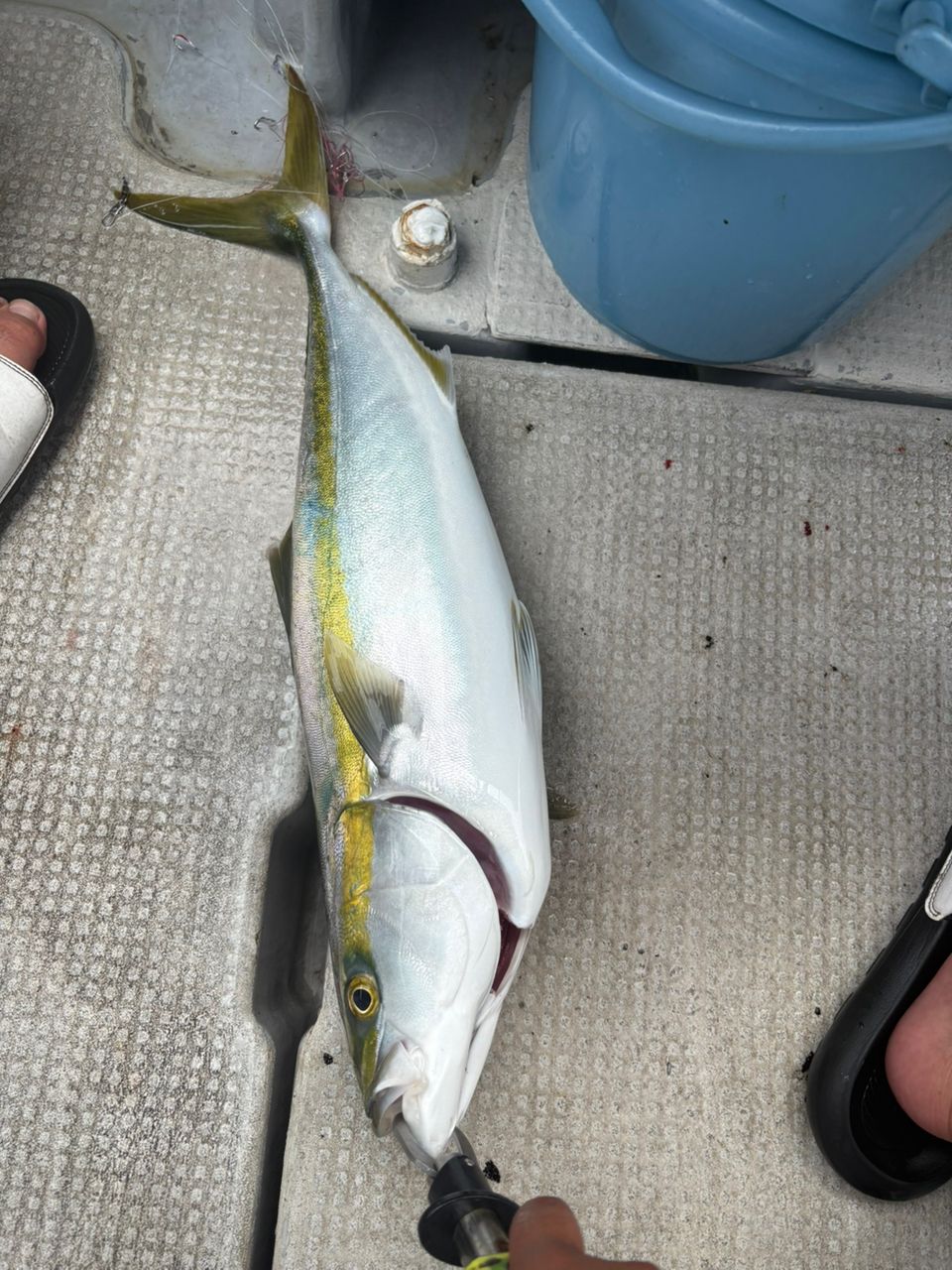 目指せ　GT 修行中さんの釣果 3枚目の画像