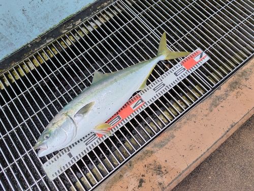 新地町海釣り公園