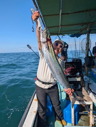 サワラの釣果