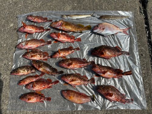 大村湾（北部）