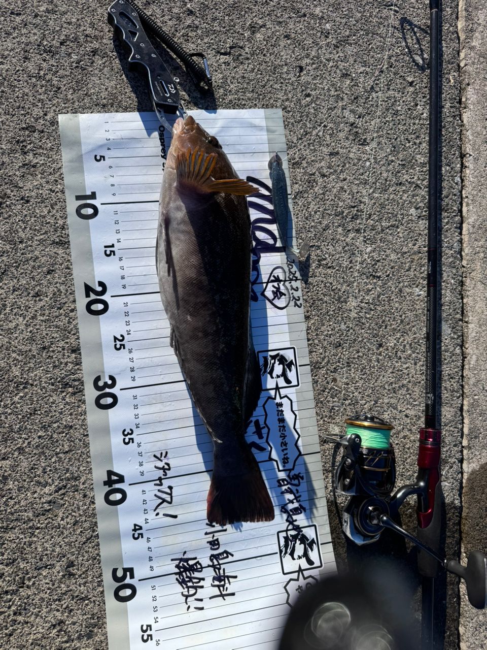 DAIWA 21HRF® (ハードロックフィッシュ) エア 810M・Nの最安値