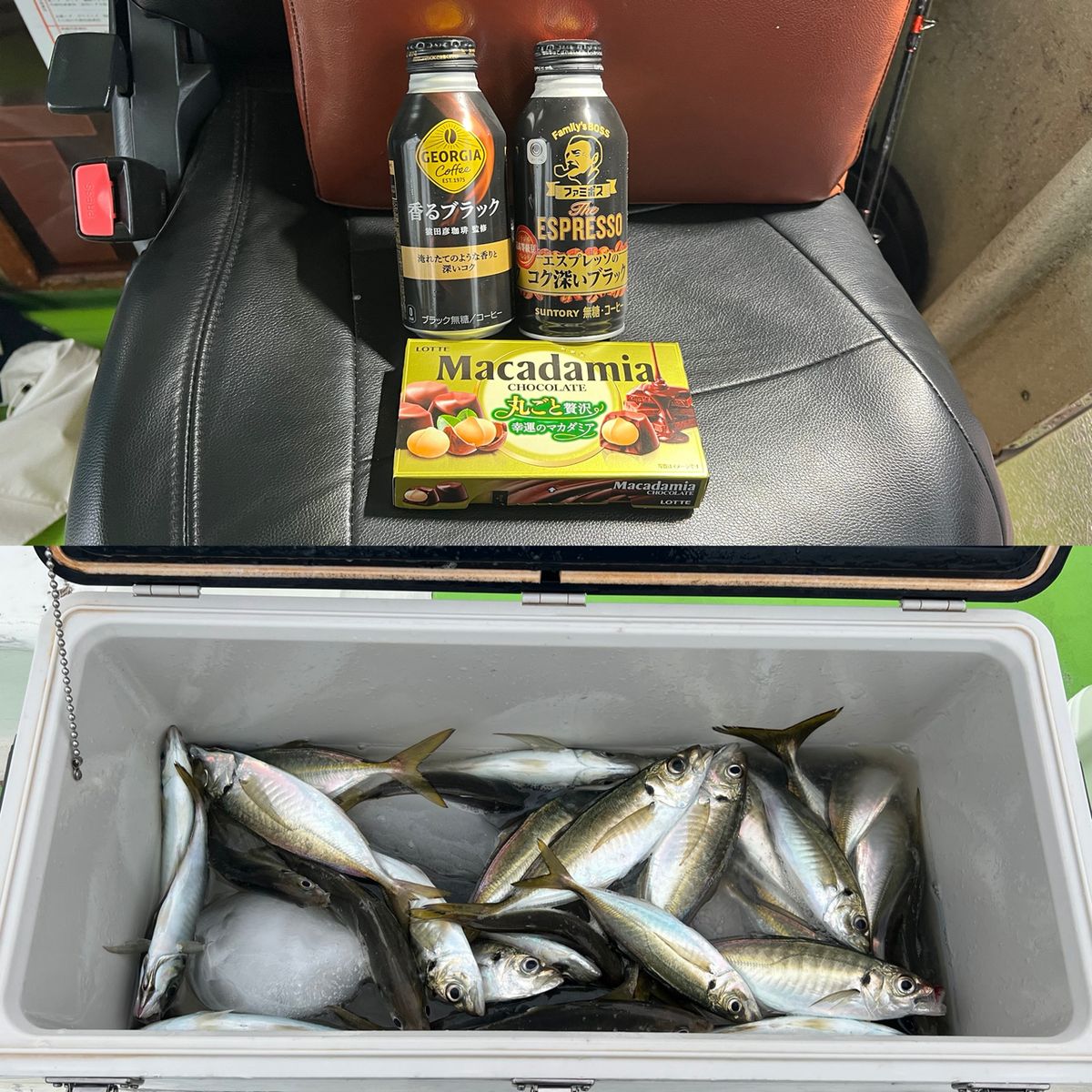 政信丸さんの釣果 3枚目の画像