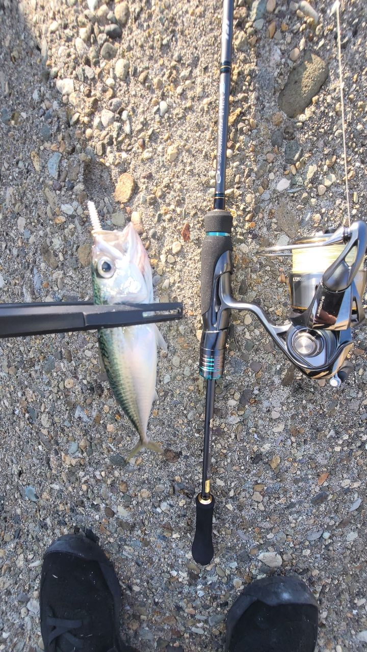 DAIWA エメラルダスストイストST73L-S 4550133166556_1.jpg