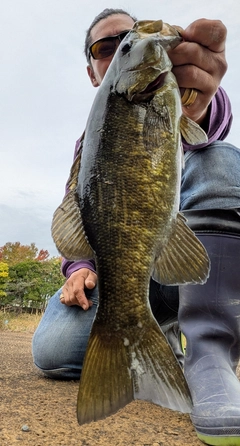 スモールマウスバスの釣果