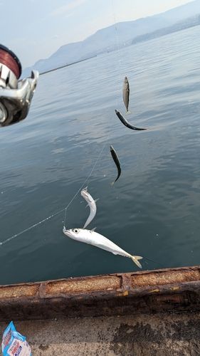 小樽港厩町岸壁