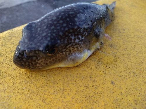 小名浜港アクアマリンふくしま周辺