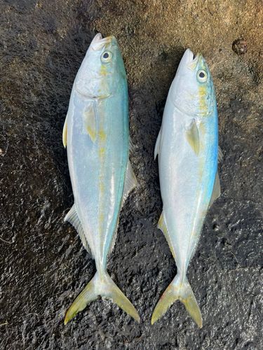 石地フィッシングセンター