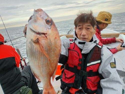 マダイの釣果