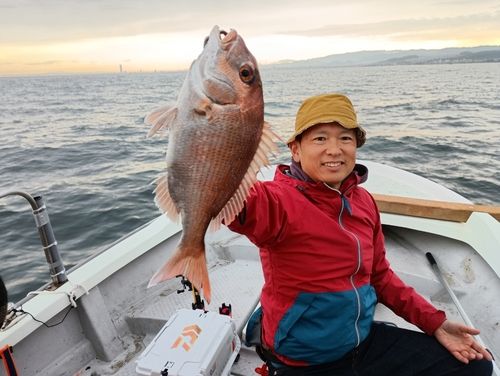 マダイの釣果