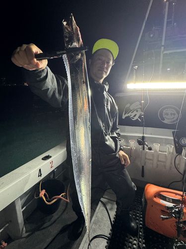 タチウオの釣果