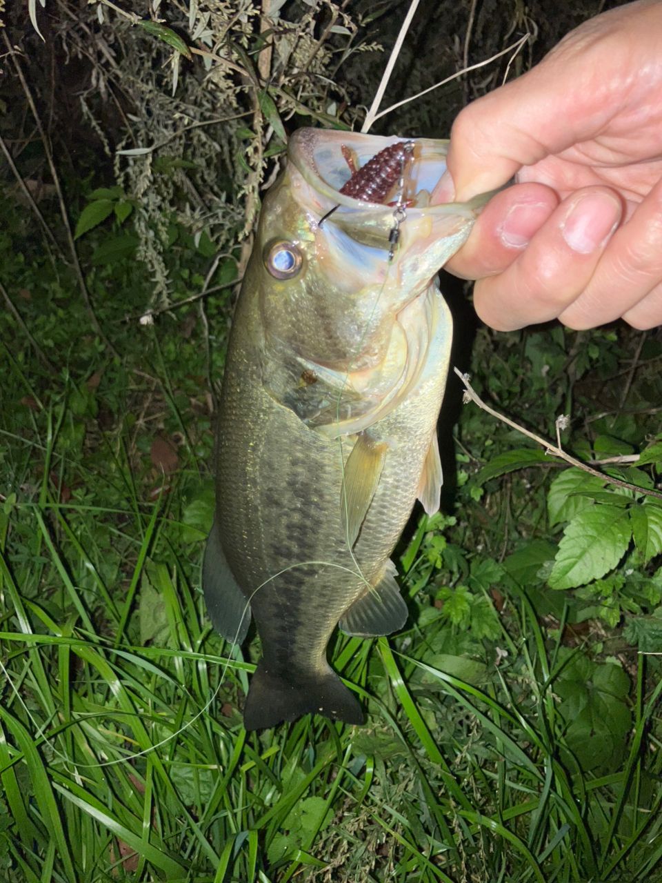 SHIMANO 22エクスプライド 265UL+の最安値・インプレ・釣果 | 本音の