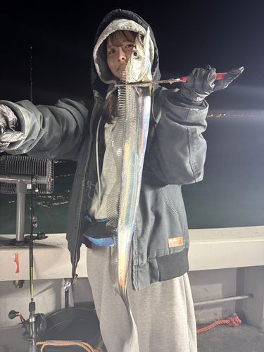 タチウオの釣果