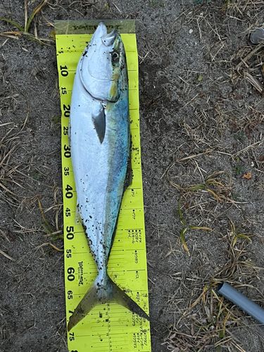 釜谷浜海水浴場