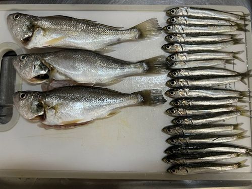 若洲海浜公園海釣り施設