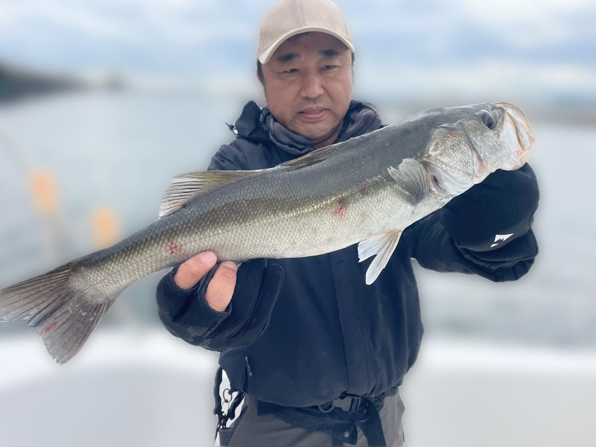 わくわく屋さんの釣果 2枚目の画像