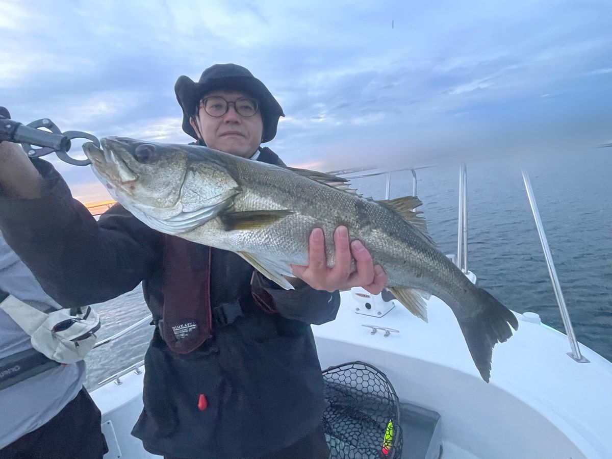 わくわく屋さんの釣果 3枚目の画像