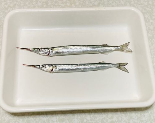 ディズニーリゾート付近