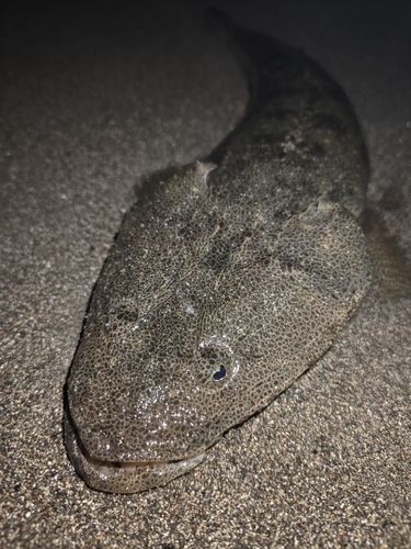 辻堂海浜公園前