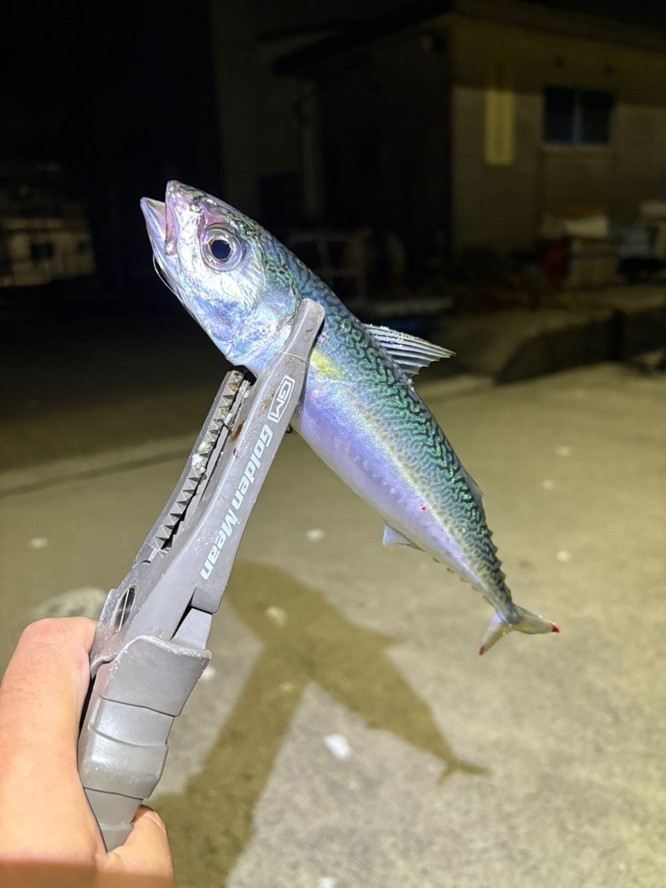 MajorCraft 鯵道 5G AD5-S622L/AJIの最安値・インプレ・釣果