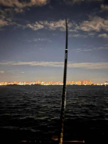 若洲海浜公園海釣り施設