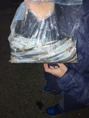 東京ゲートブリッジ付近