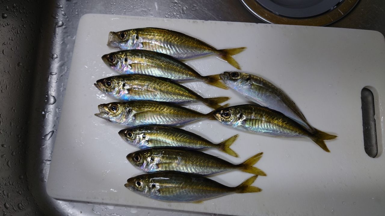 AbuGarcia ソルティーステージ プロトタイプ アジング XAJS-5102LSSの