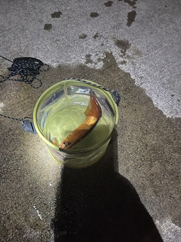 中央埠頭（函館港）