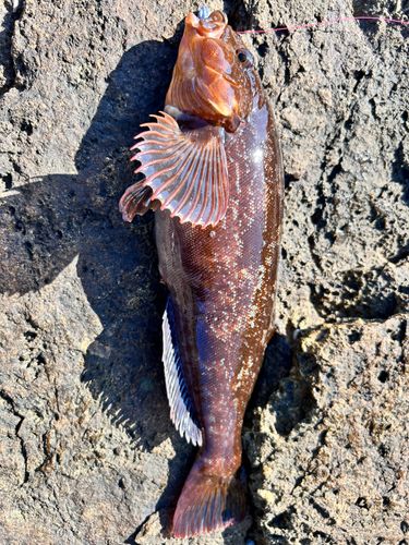 三陸海岸（青森）