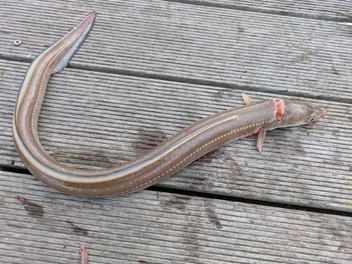 仙台港中央公園