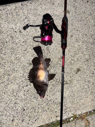 船越湾（岩手）