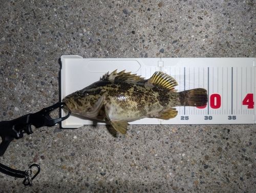 新舞子マリンパーク