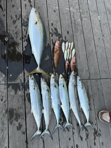 木津川（大阪）