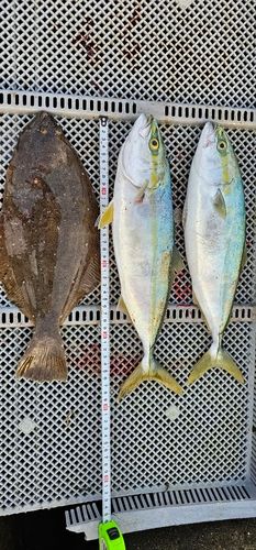 三陸海岸（青森）