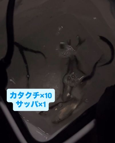 若洲海浜公園海釣り施設