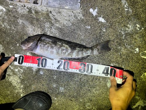 キラキラ公園（苫小牧西港）