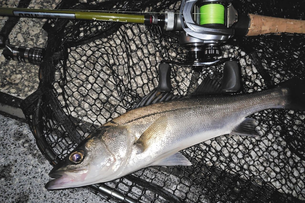 AbuGarcia ズームサファリ ZMSC-765Lの最安値・インプレ・釣果 | 本音