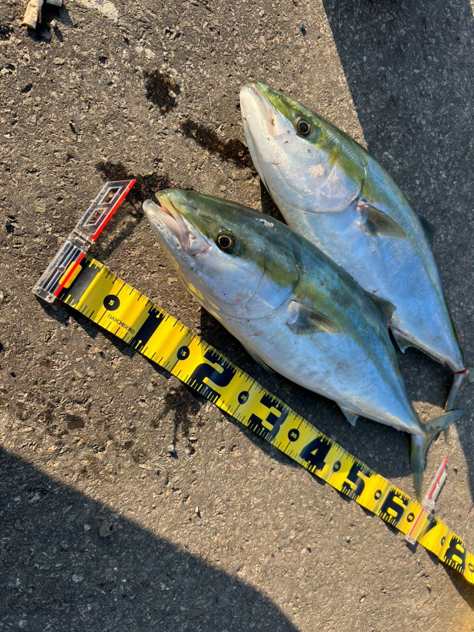 DAIWA 20オーバーゼア エア 109ML/Mの最安値・インプレ・釣果 | 本音の