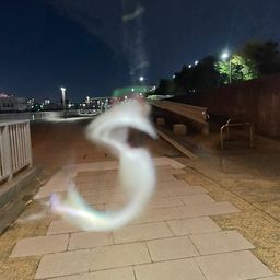 カタクチイワシ