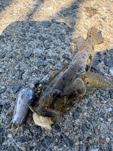 大村湾（南部）