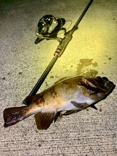 三陸海岸（岩手）