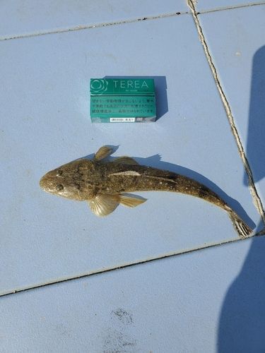 相馬港釣り桟橋