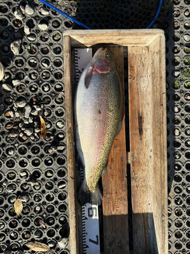 すそのフィッシングパーク