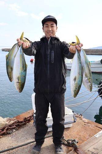 ハマチの釣果