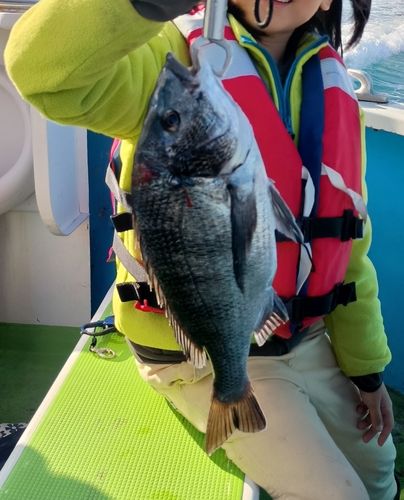 東京湾（アクアライン〜富津）